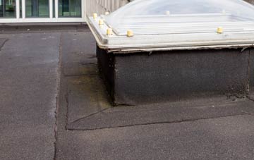 disadvantages of Nettleton flat roofs