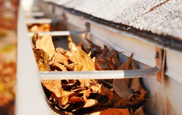 Nettleton gutter cleaning companies