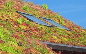 Nettleton living roof systems