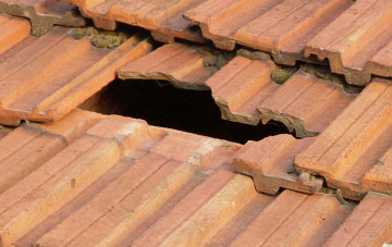roof repair Nettleton